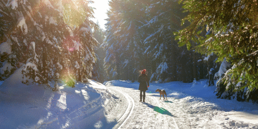 Frau beim Winterspaziergang