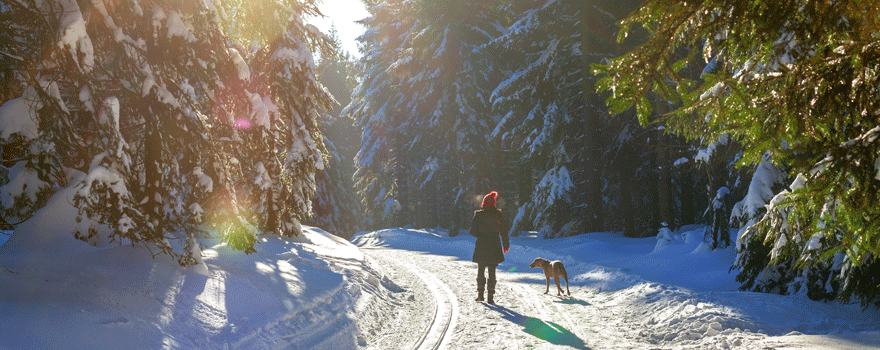Frau beim Winterspaziergang