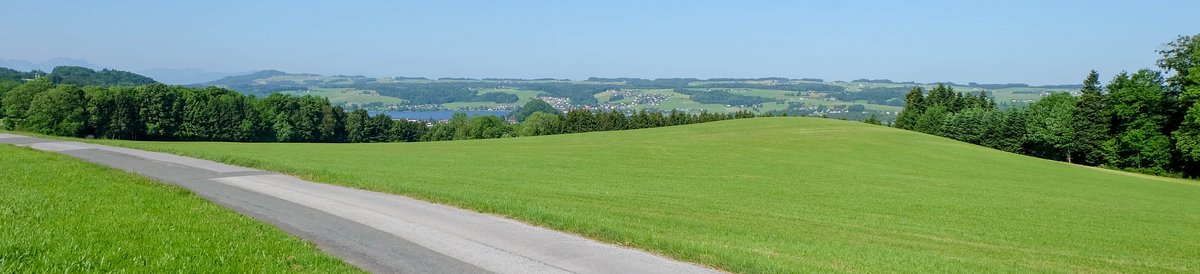 Radweg Salzburg mit viel Wiese