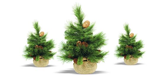 Christbaum. Christbaum länger frisch?