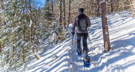 Schneeschuhwanderung im Wald 